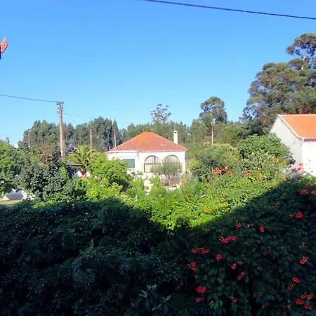 Quarto em Acomodações Particulares Vermelho Estilo Moderno *