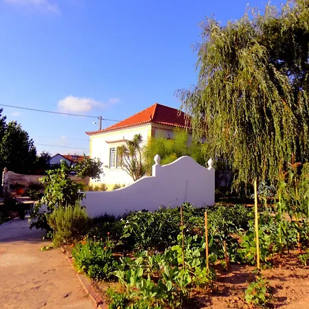 Vermelho Estilo Moderno * Ramalhal