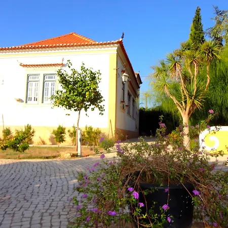 Vermelho Estilo Moderno