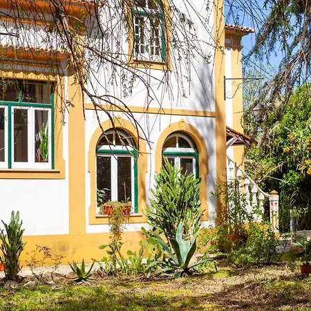 Vermelho Estilo Moderno Quarto em Acomodações Particulares