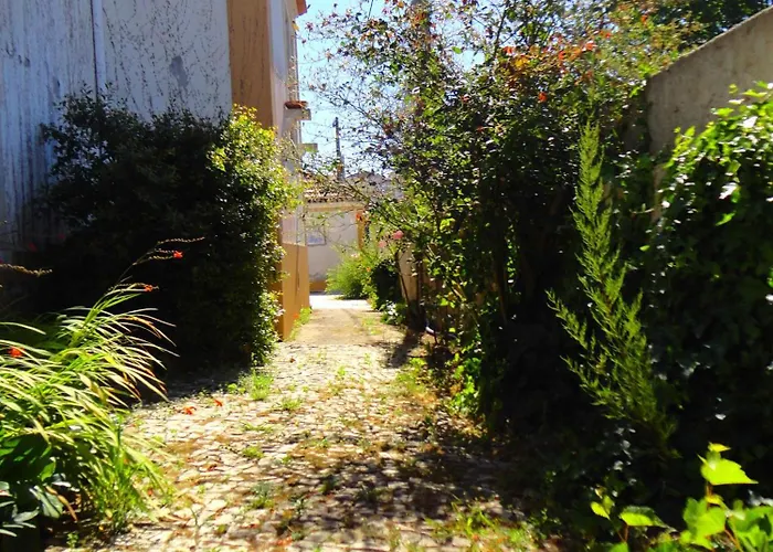 Vermelho Estilo Moderno *