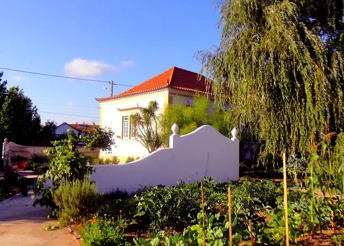 Vermelho Estilo Moderno * Ramalhal