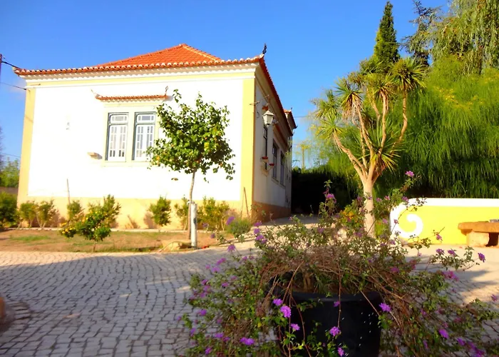 Vermelho Estilo Moderno